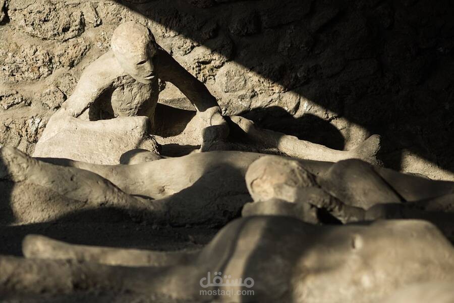 معلومات عامة