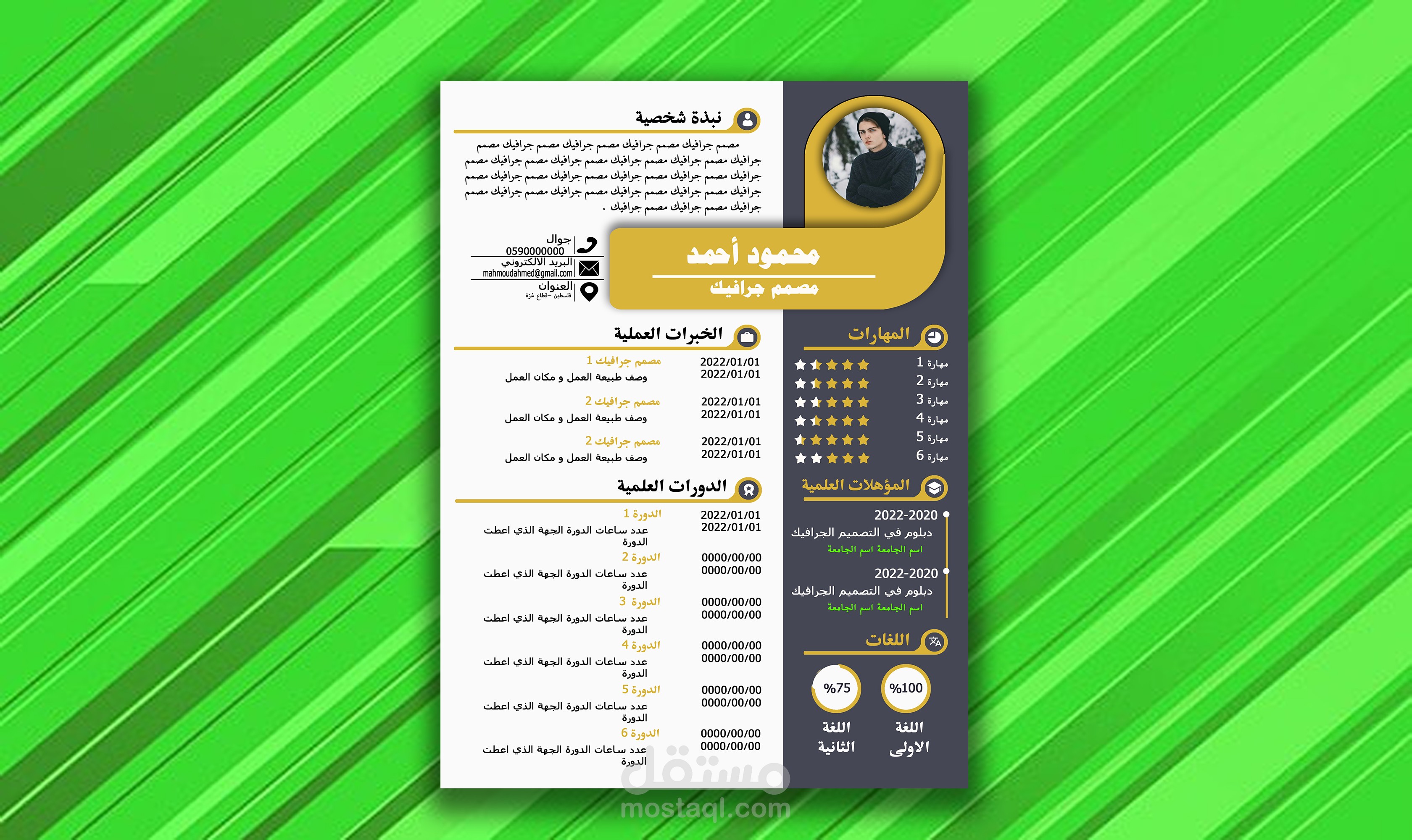 قالب سيرة ذاتية باللغة العربية