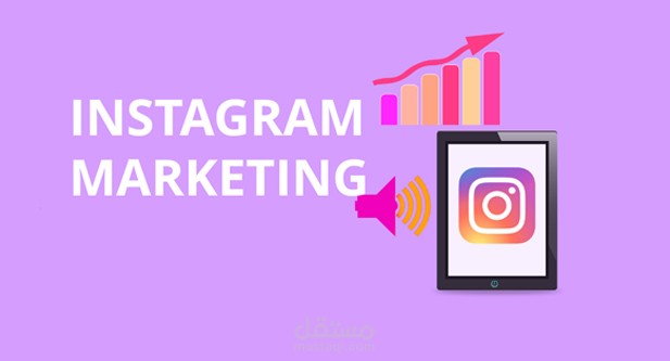 إدارة حسابات انستقرام