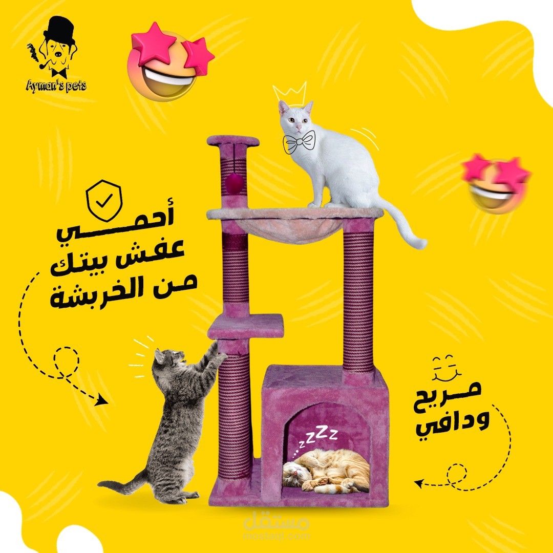 تصميمين سوشيال ميديا  لمتجر متخصص في مستلزمات الحيوانات الأليفة