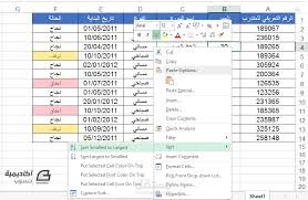 نسخ وإدخال بيانات من ملف pdf إلى ملف اكسل
