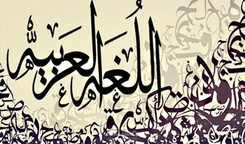 تدقيق لغوي لملخص كتاب بعنوان خرافة ريادة الأعمال