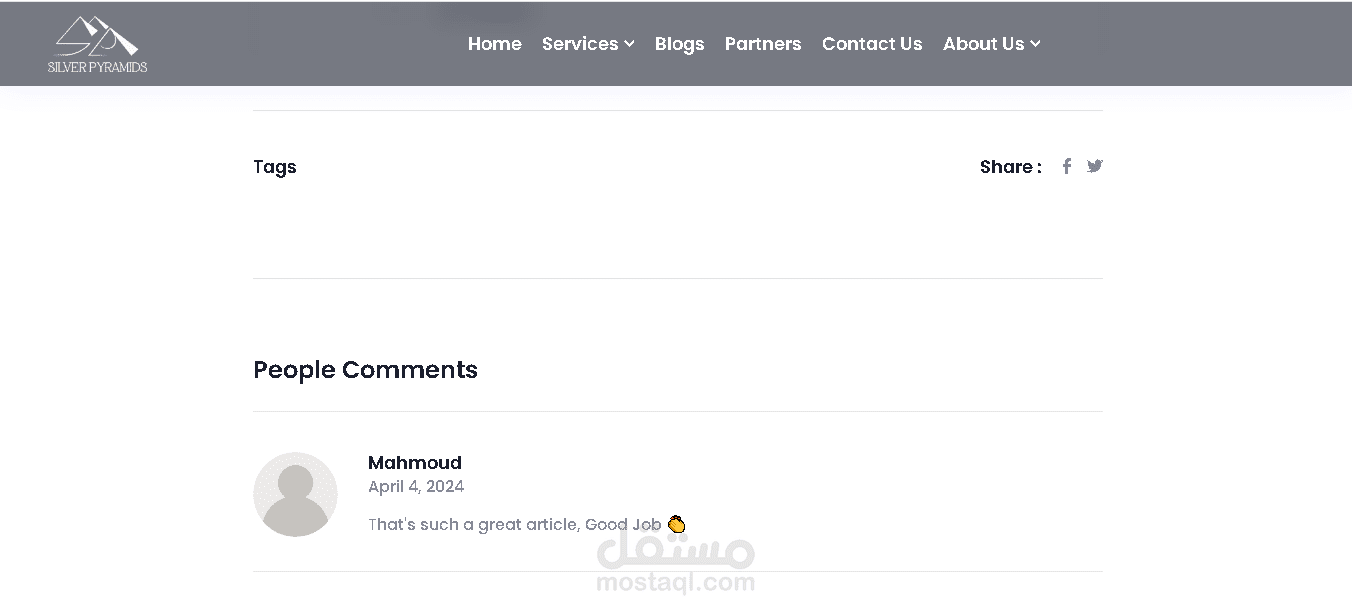 كتابة مقالات موقع silver pyramids للأعمال التسويقية