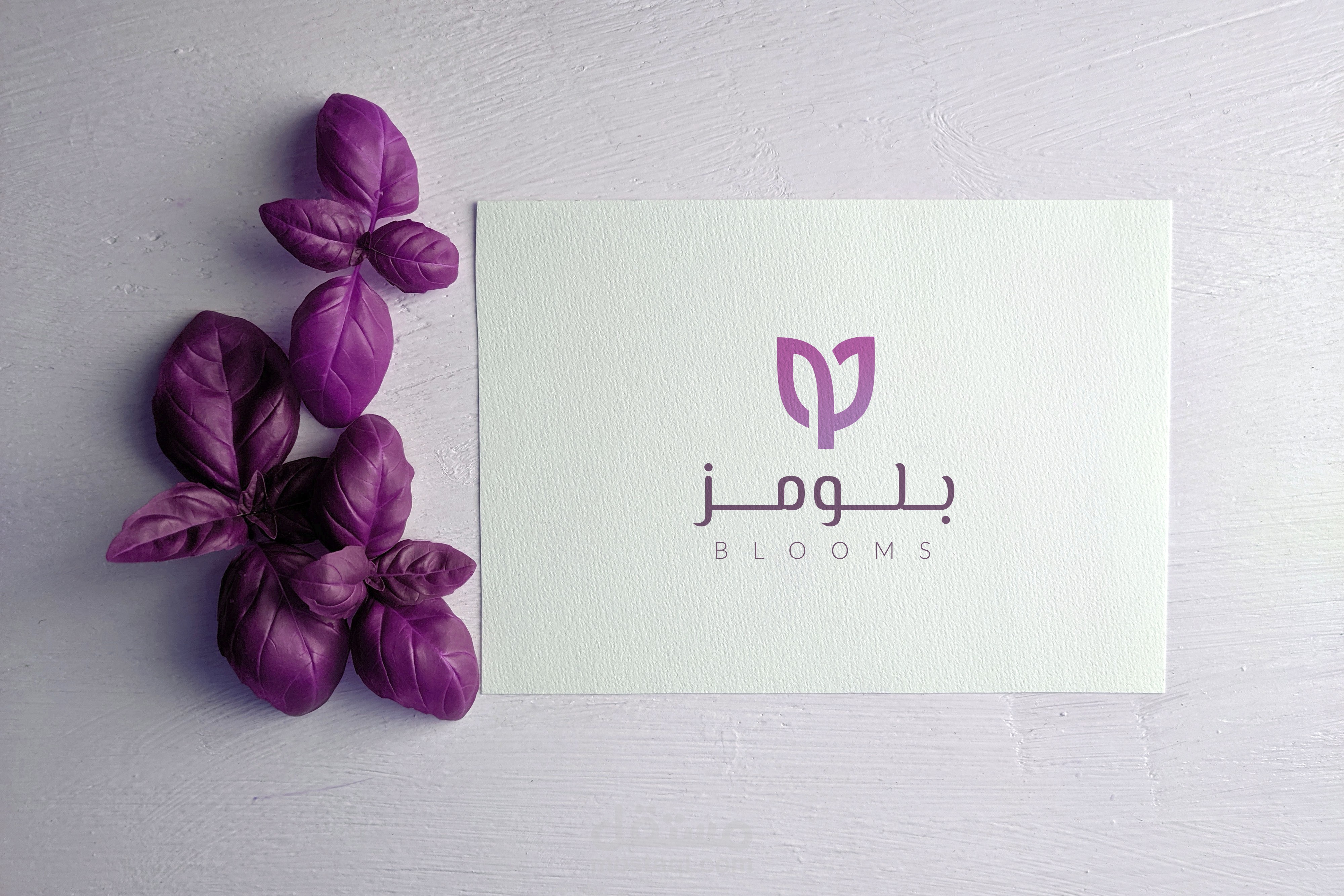 شعار محل ورود وهدايا