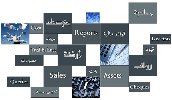 المساعدة في تطوير الانظمة المحاسبية واختبارها