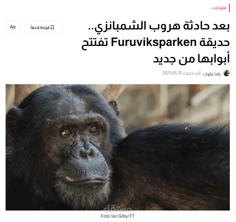 ترجمة وتدقيق لغوي وتحرير