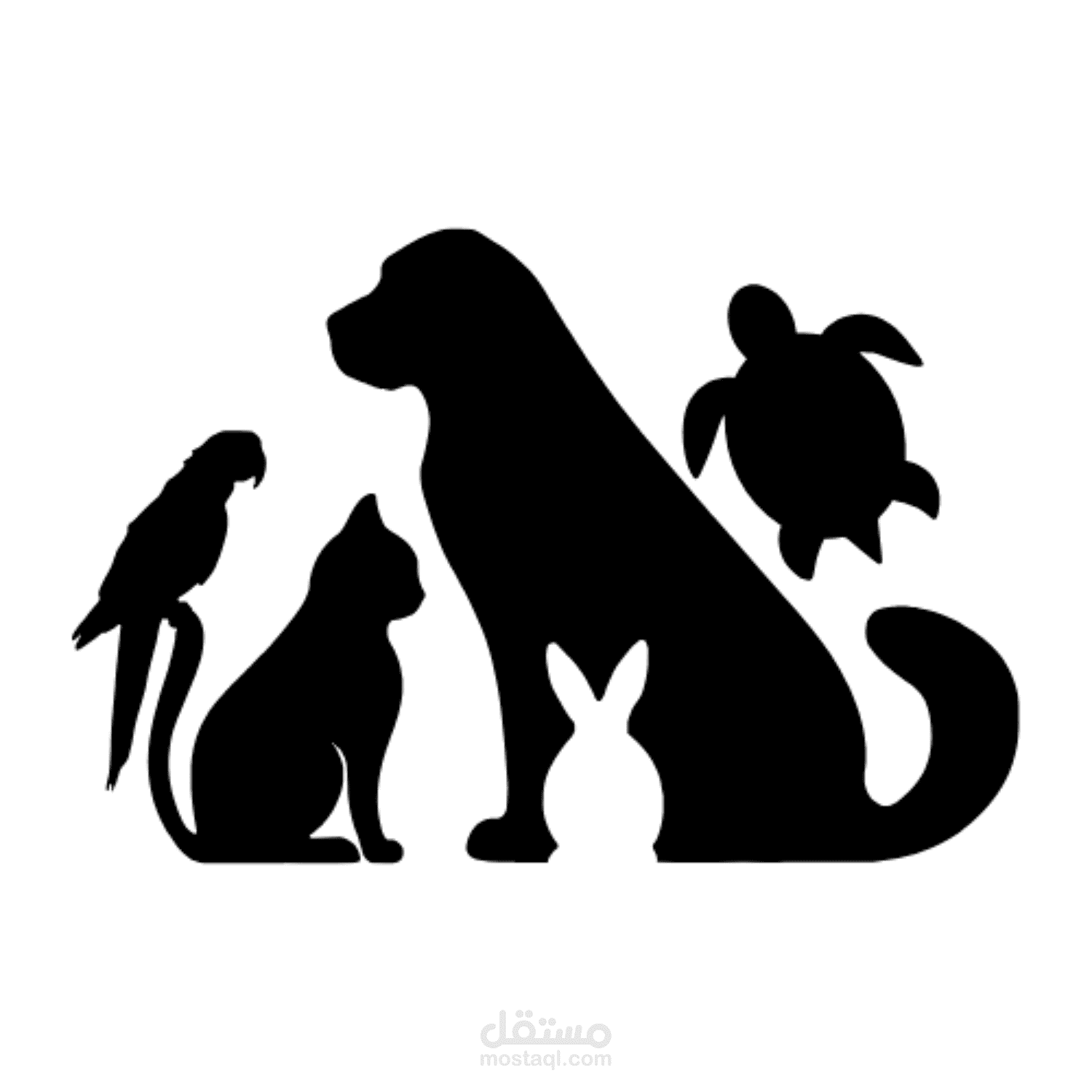 YouTube Owner of Paws & Shells Channel