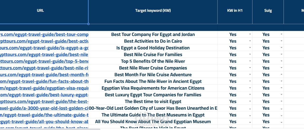 تحليل موقع شركة سياحة في مصر
