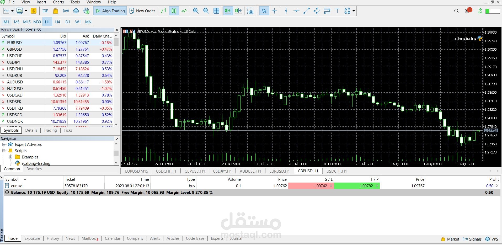 بوت للتداول الآلي في سوق الفوركس والكريبتو