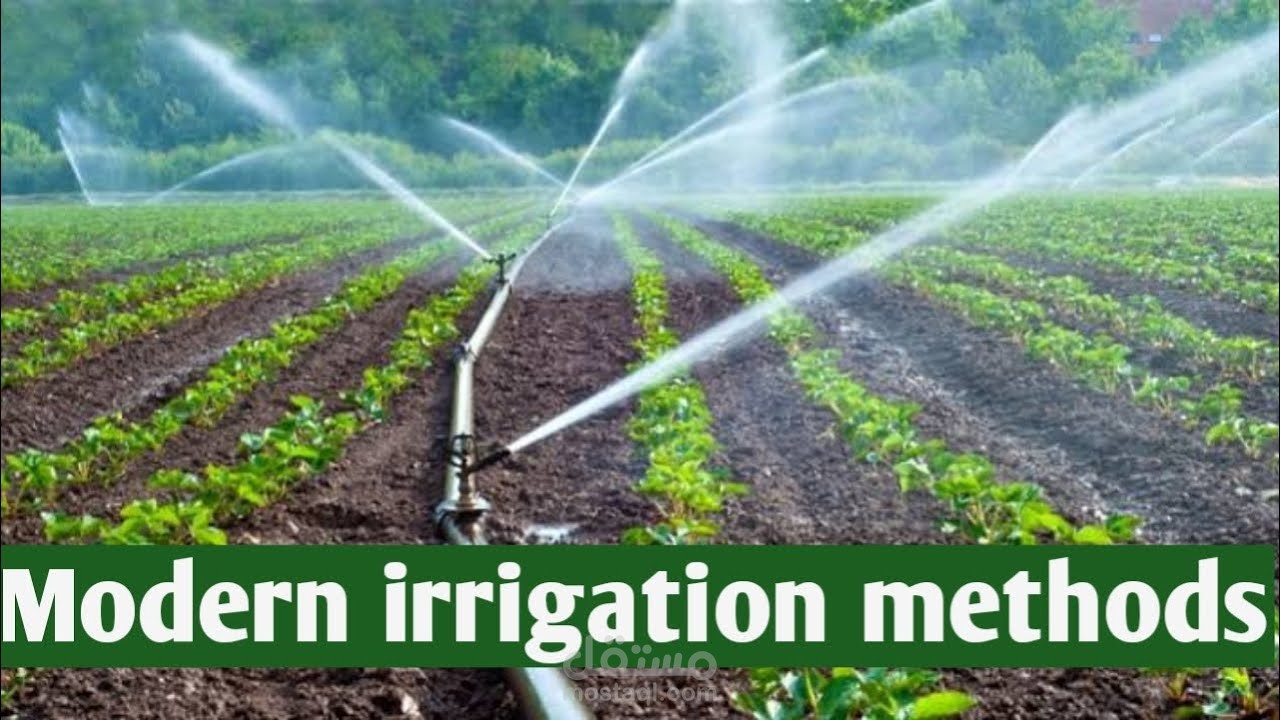 ترجمة وتصميم حلقات بحث علمية