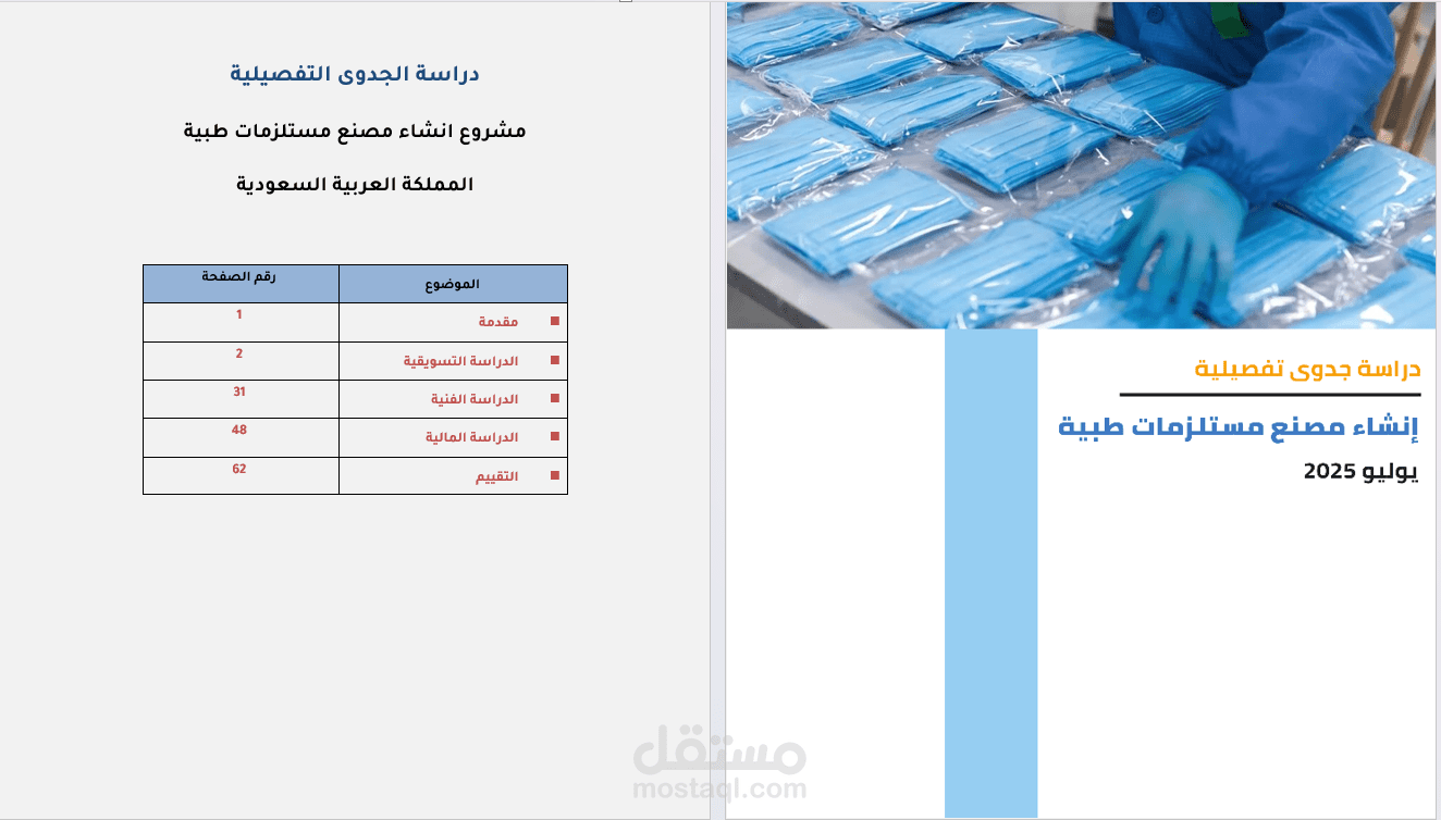 دراسات الجدوى الاقتصادية