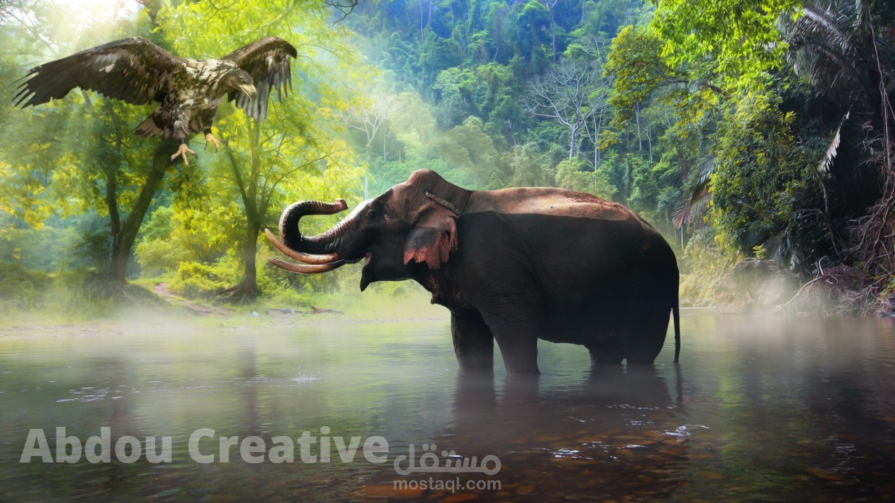 نموذج عن وثائقي البراري تعليق ومونتاج