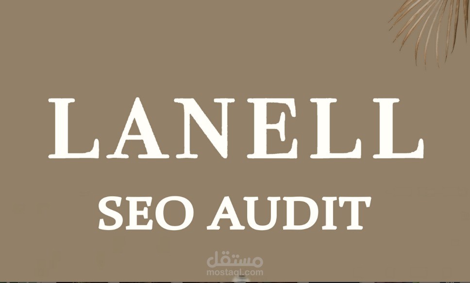 تدقيق شامل لموقع الويب