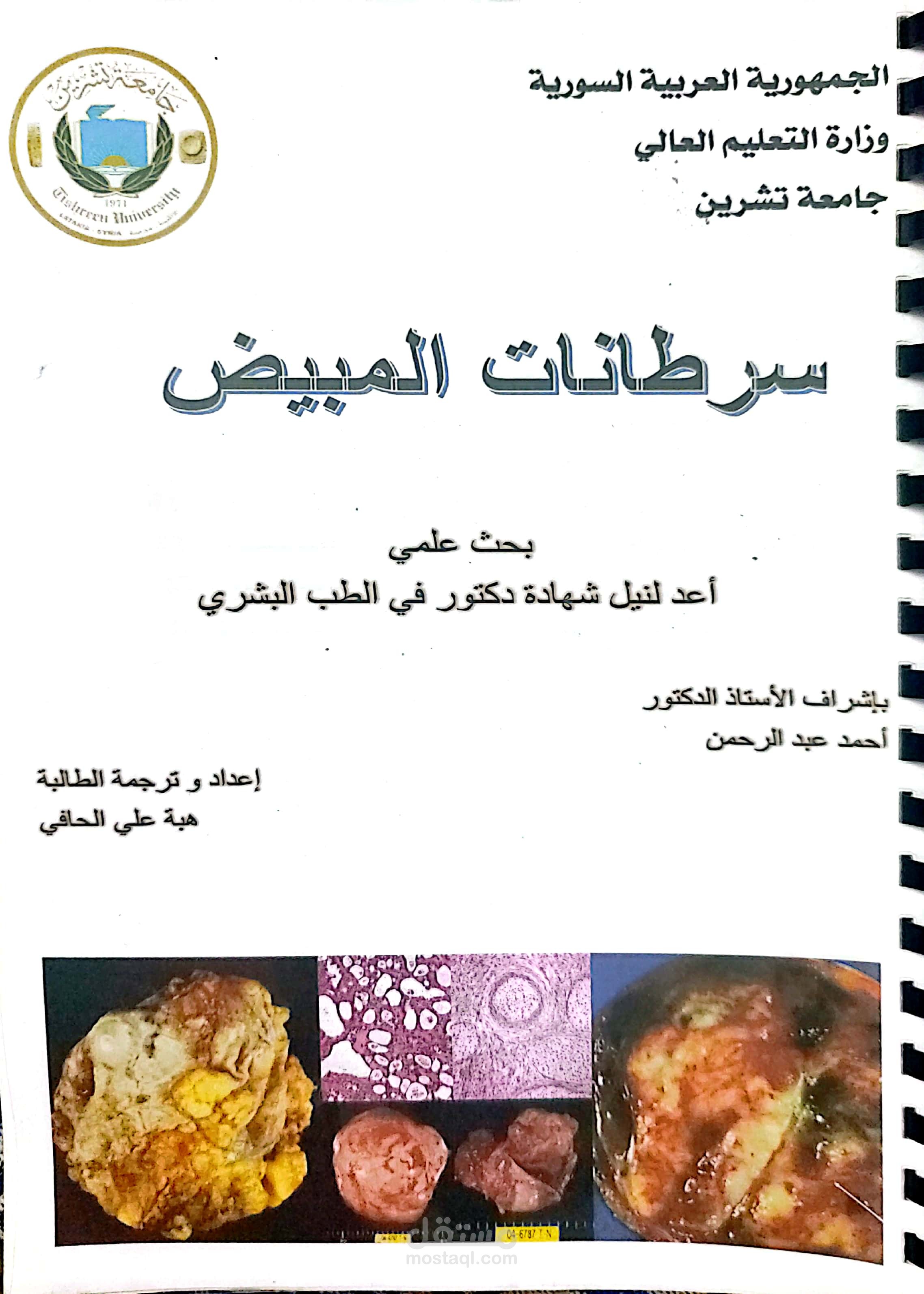 ورقة بحثية