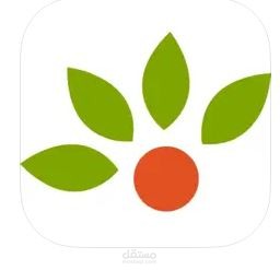 Fruitjo - فروت جو