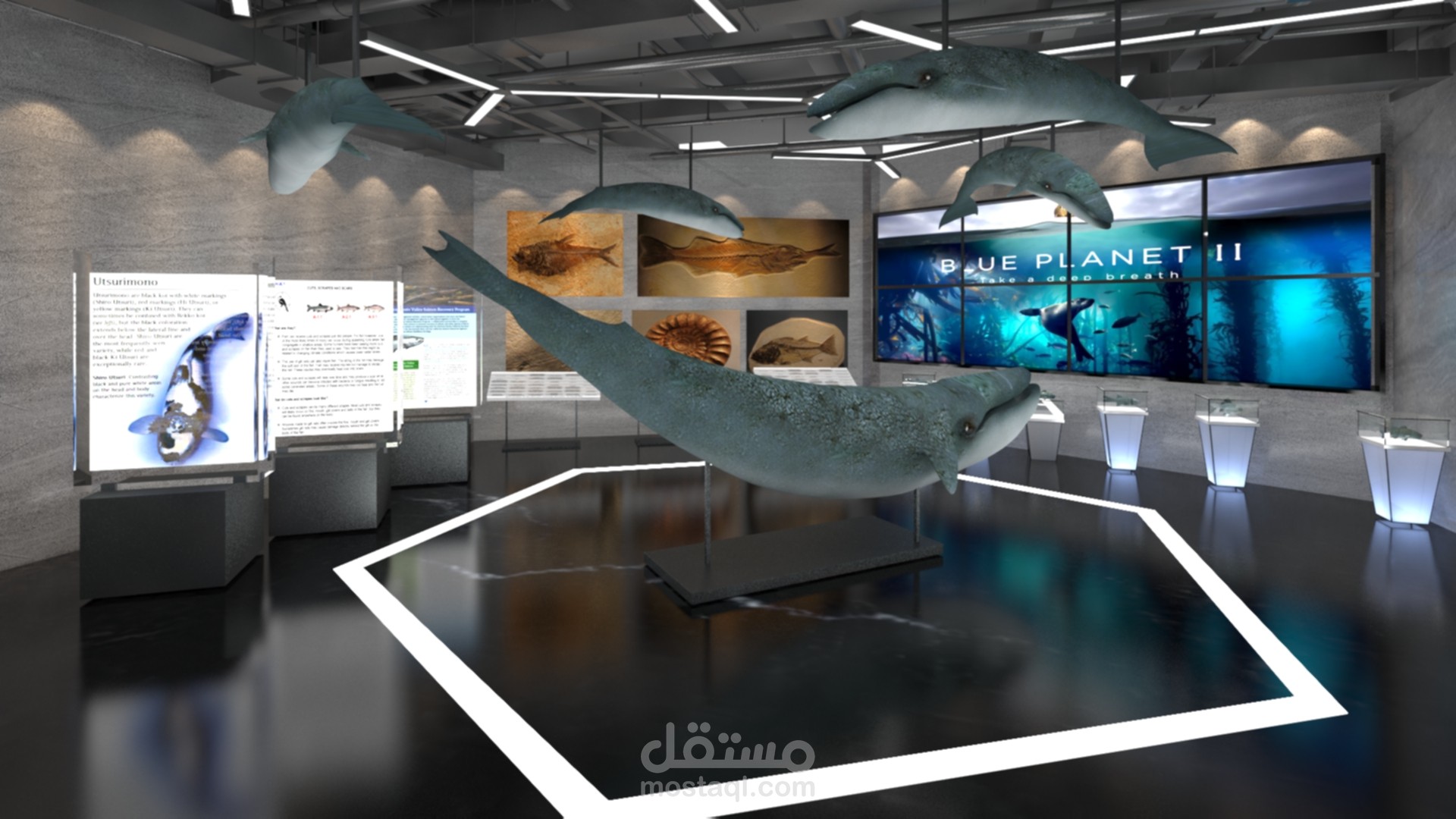 تصميم معرض احياء مائيه