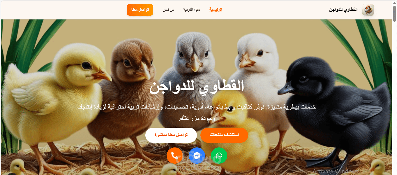 موقع القطاوي للدواجن