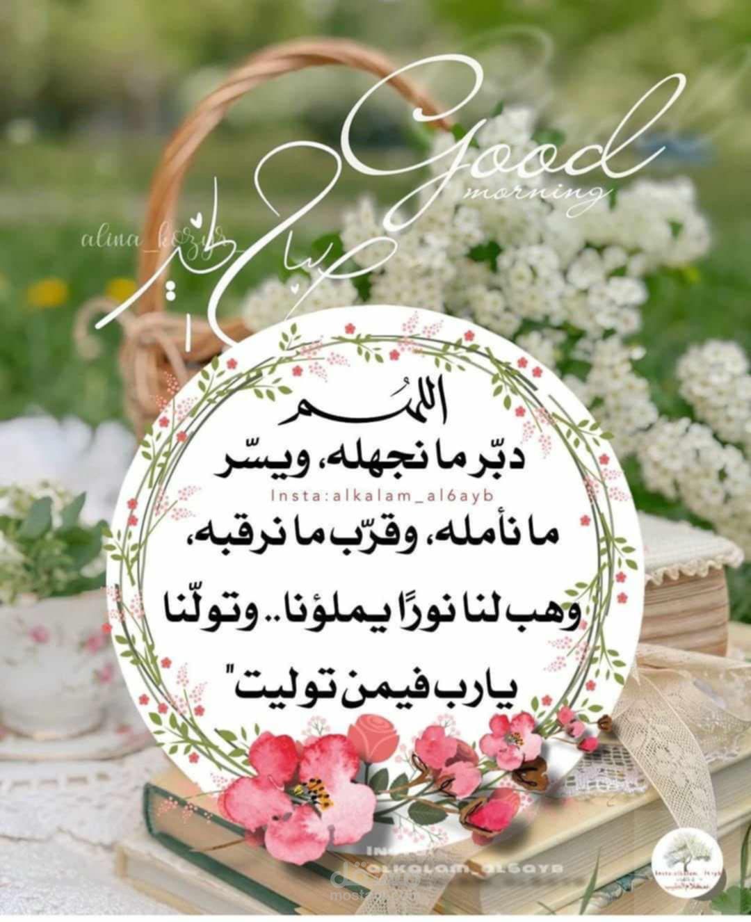مديره حسابات . 20 سنه خبره بالمجال وبالاوفيس