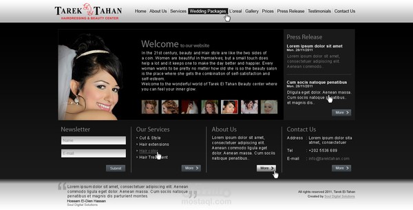 Tarek ElTahan Website