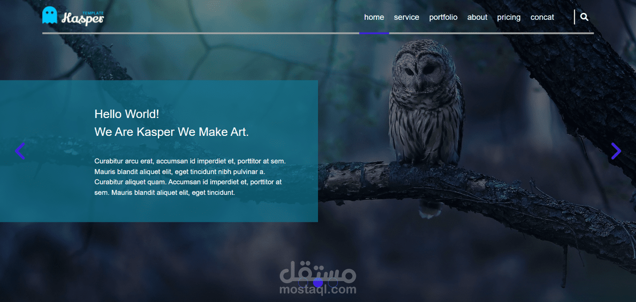 portofolio