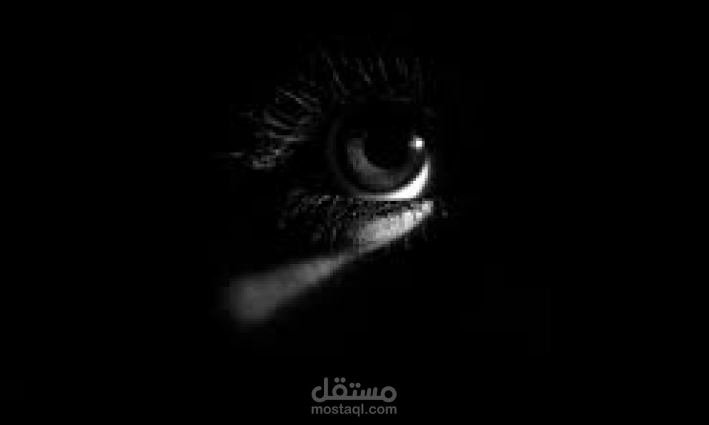 مجمع لأعمالي الكتابية من مقالات، ومنشورات على مواقع التواصل الإجتماعي
