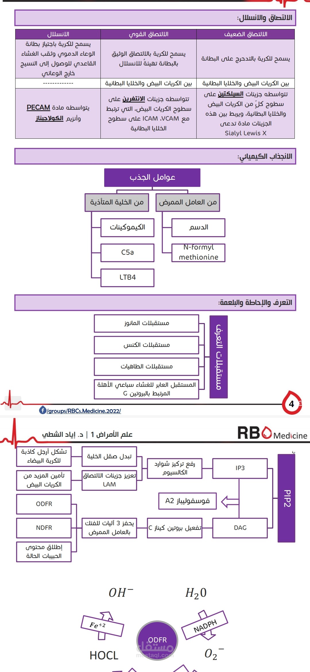 تلخيص
