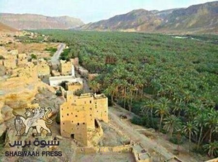 عن فرعون موسى الحقيقى ومكان الوادى المقدس طوى الحقيقى