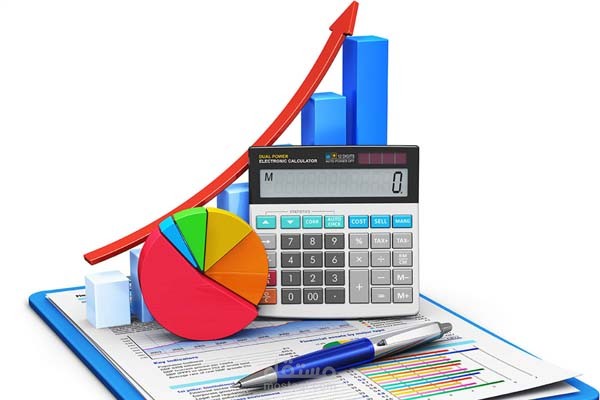 تأسيس الحسابات واعداد الدورة المستندية