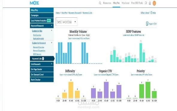 SEO- Audit