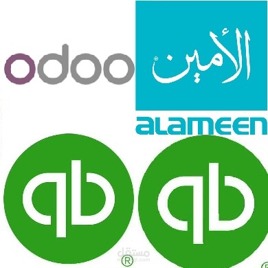 البرامج المحاسبية