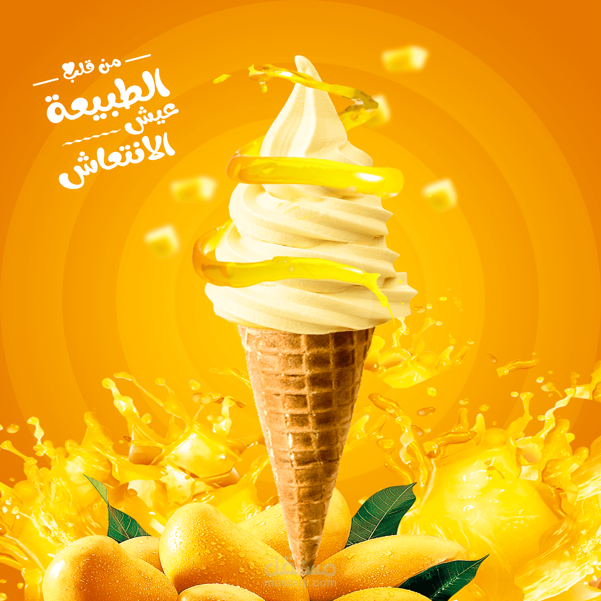 سوشيال ميديا