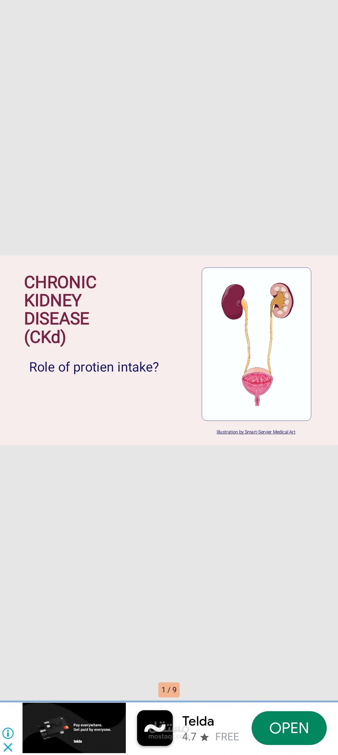 Presentation about latest updates of protein intake in remal patients