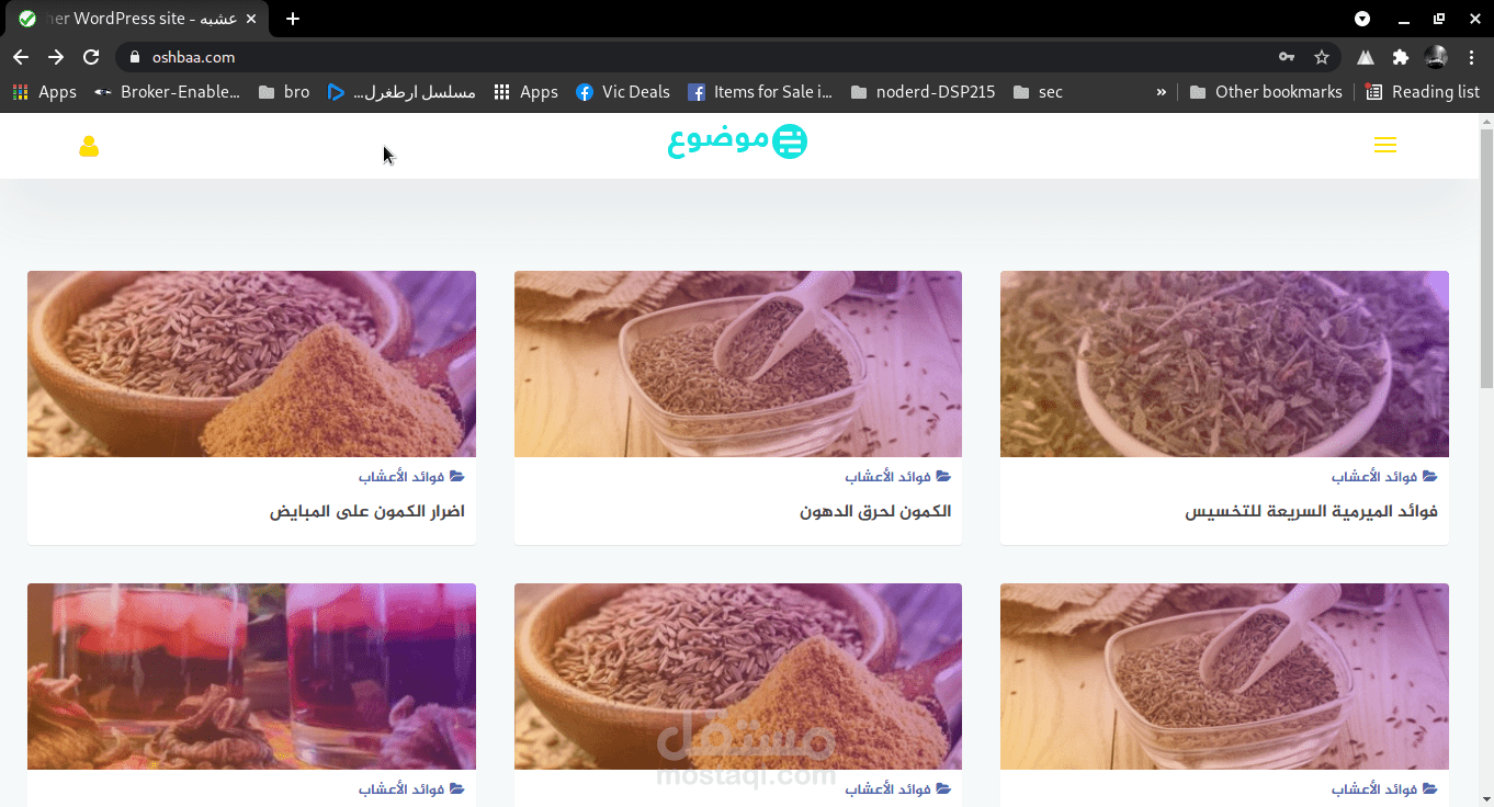 إدخال بيانات على موقع على ووردبريس