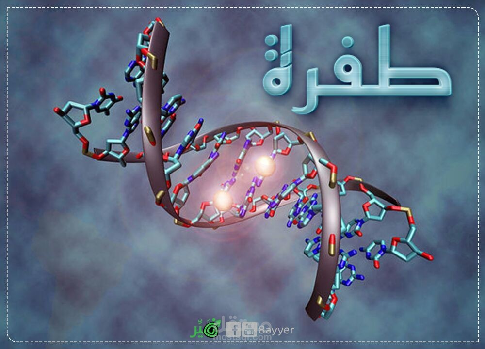 مُنشئ محتوى