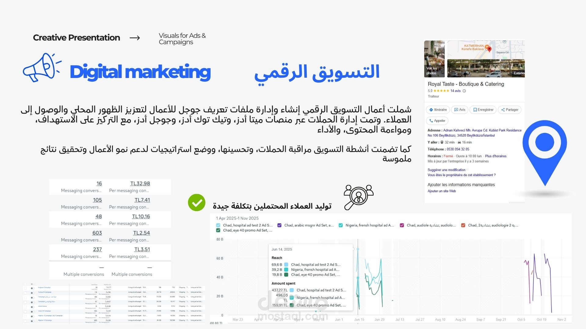 خبرة في التسويق الإلكتروني وإدارة الحملات: