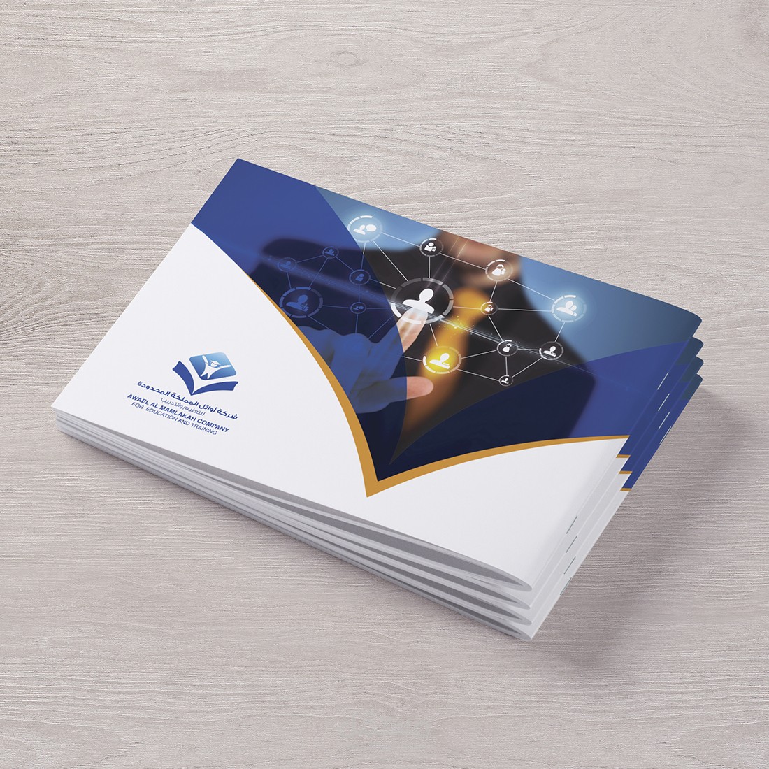 بروفايل تعريفي | أوائل المملكة