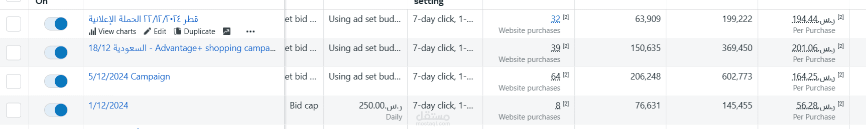 ادارة حملات اعلانية علي ميتا وقوقل وتيك توك ( في السوق السعودي والخليجي )