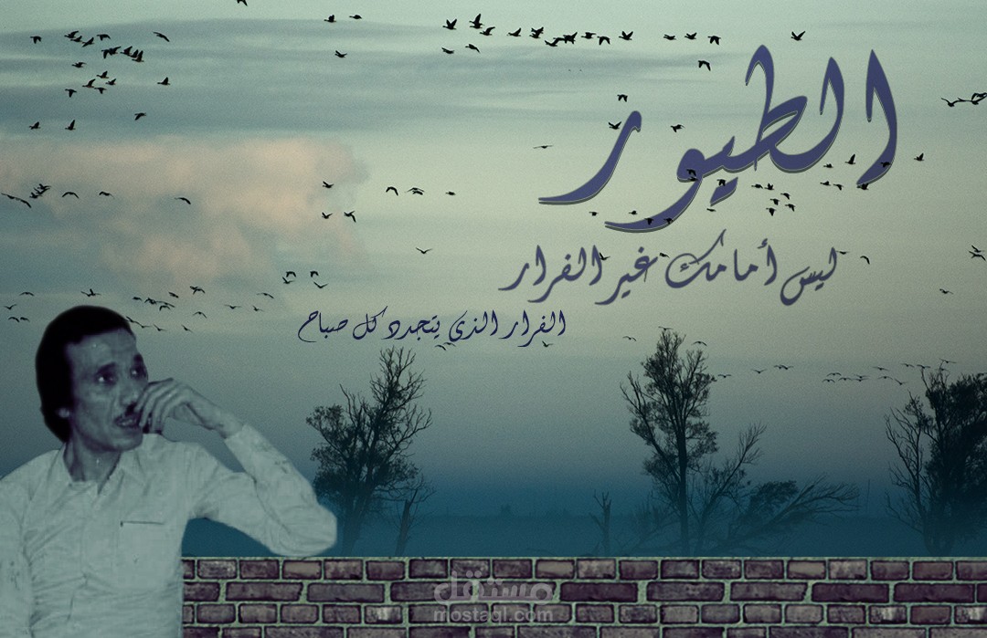 تصميم غلاف قصيدة الطيور لأمل دنقل