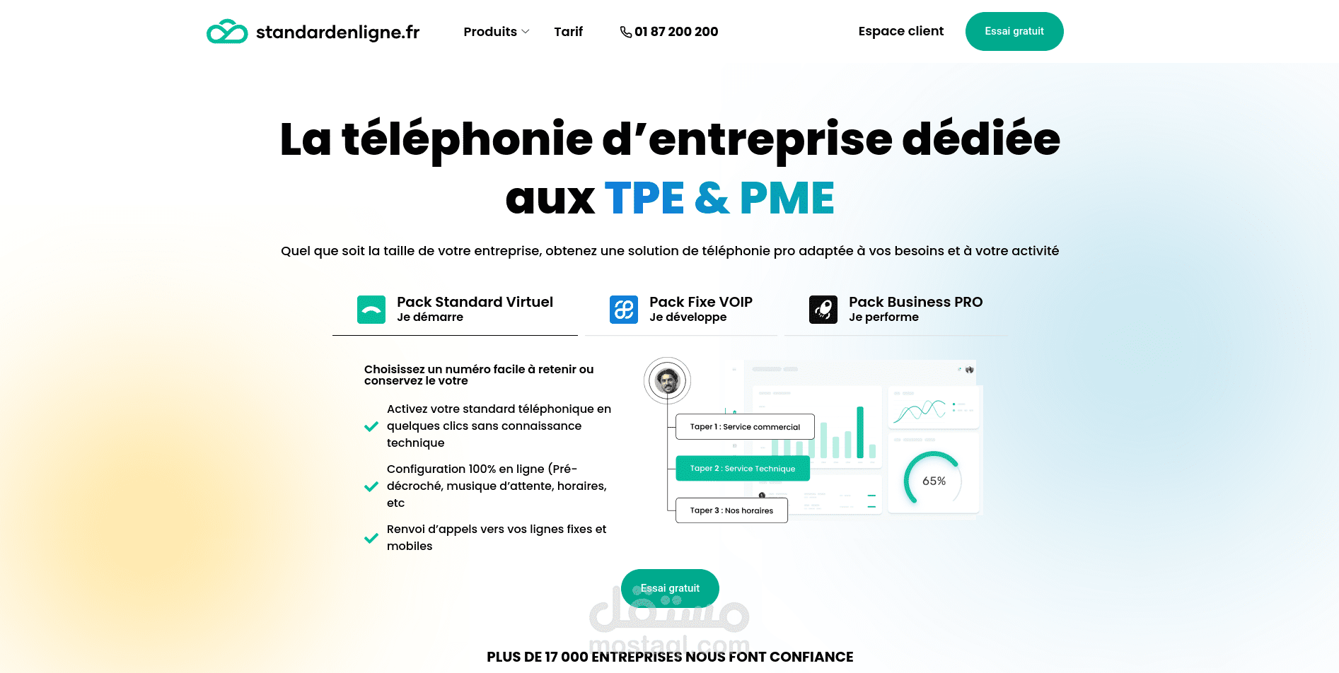 Standard Téléphonique Virtuel Professionnel