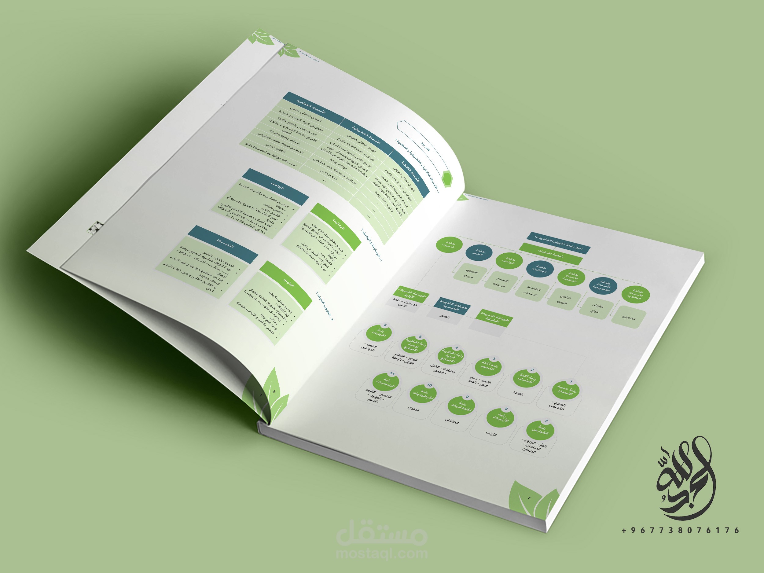 تنسيق وتصميم محتوى كتاب باستخدام الخرائط الذهنية