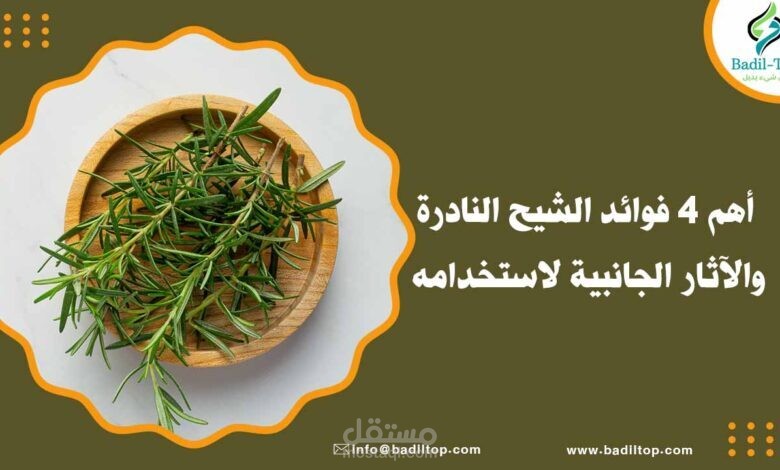 أهم 4 فوائد الشيح النادرة والآثار الجانبية لاستخدامه