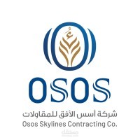 الخبرة السابقة: محاسب عام (General Accountant)