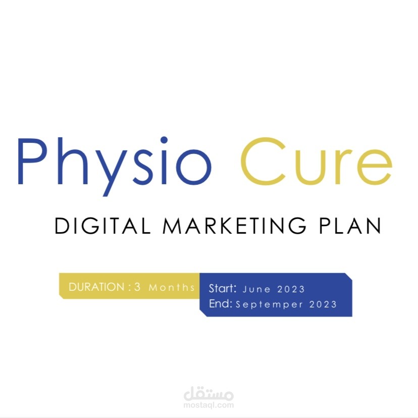 Physio Cure Clinic - Digital Marketing Plan