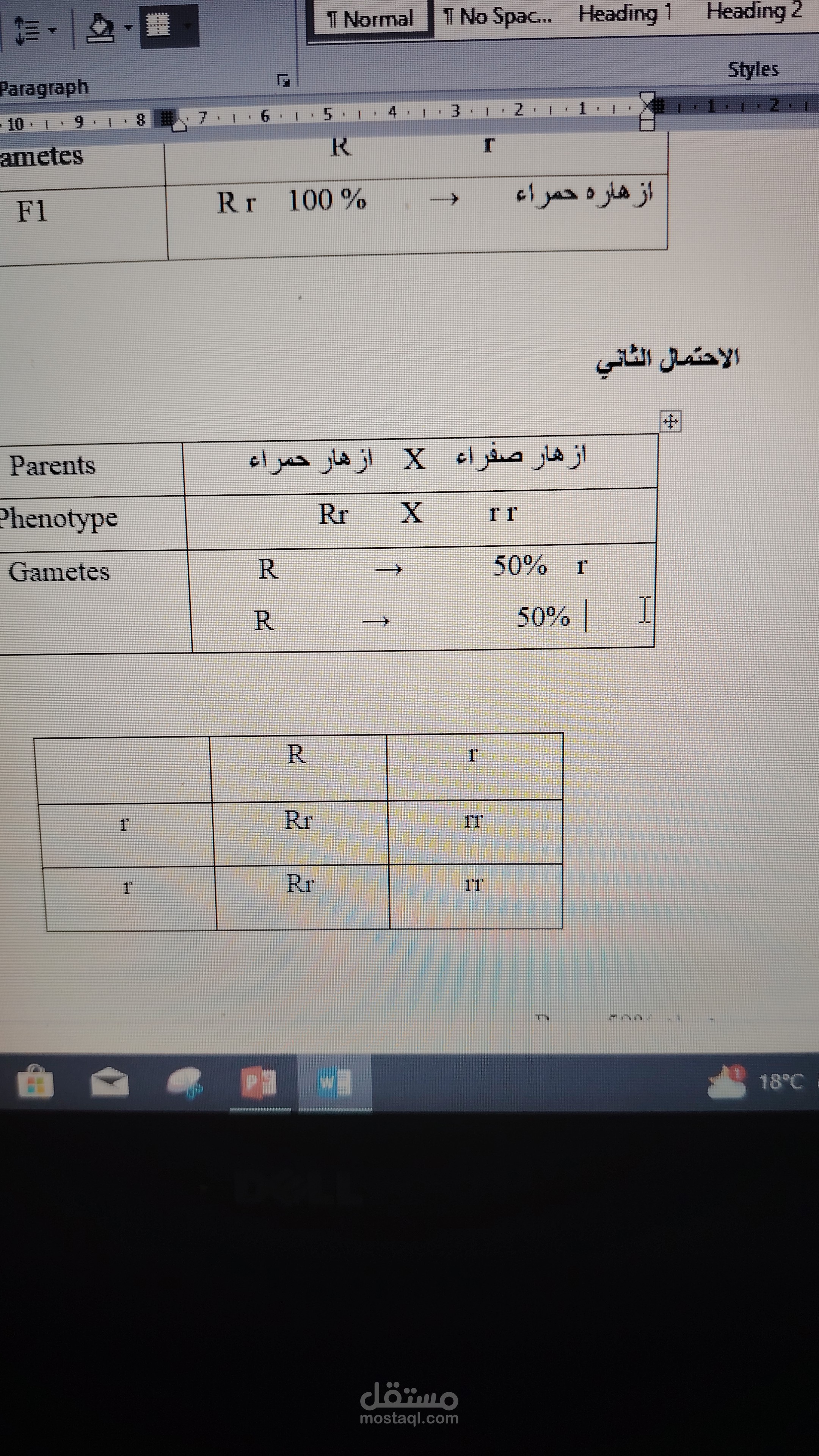 خدمات طلابيه