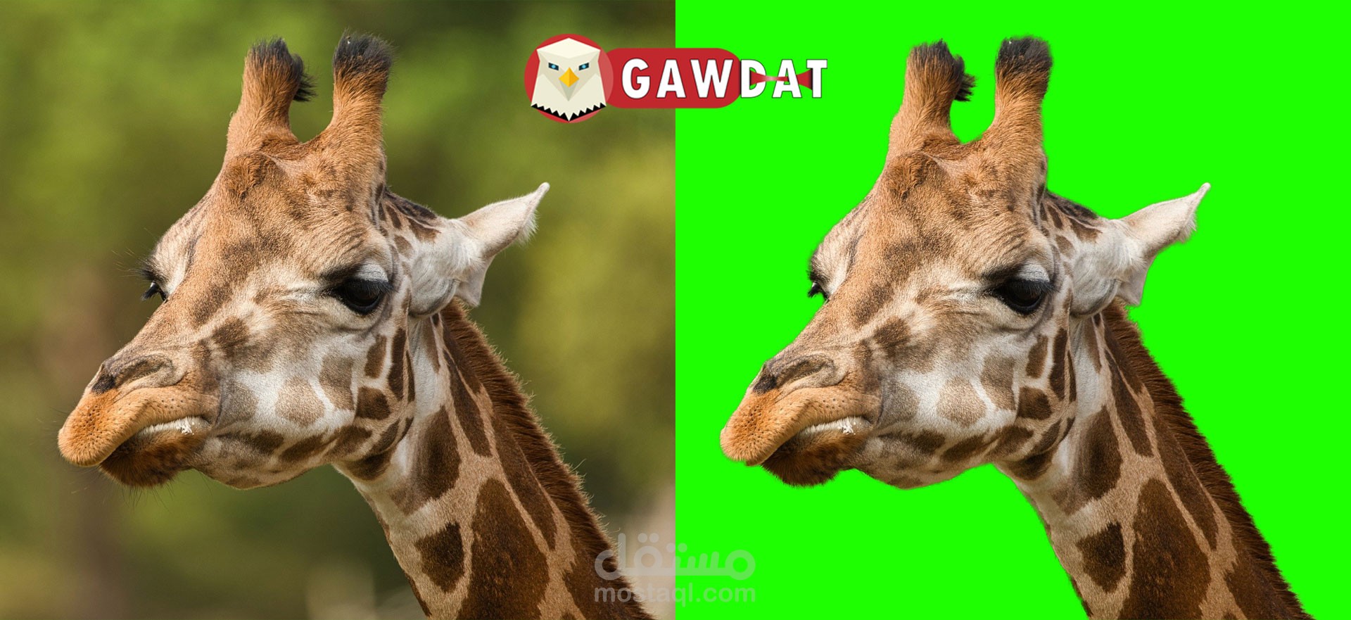 ازالة الخلفية من الصور