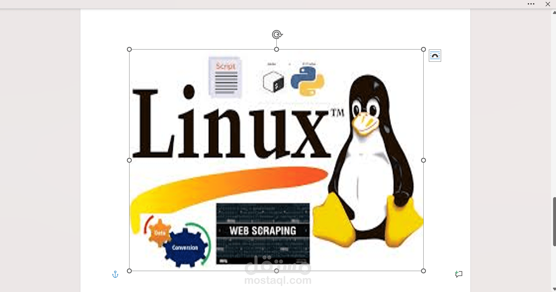 استشارة تقنية احترافية لمدة 30 دقيقة – ح ل مشاكل Linux, Cloud, DevOps, Networks