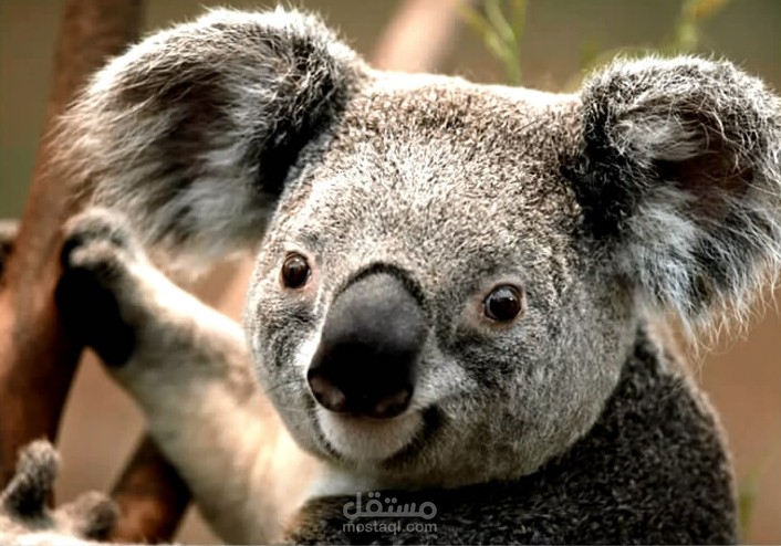 تحويل الصورة العادية إلى صورة HD