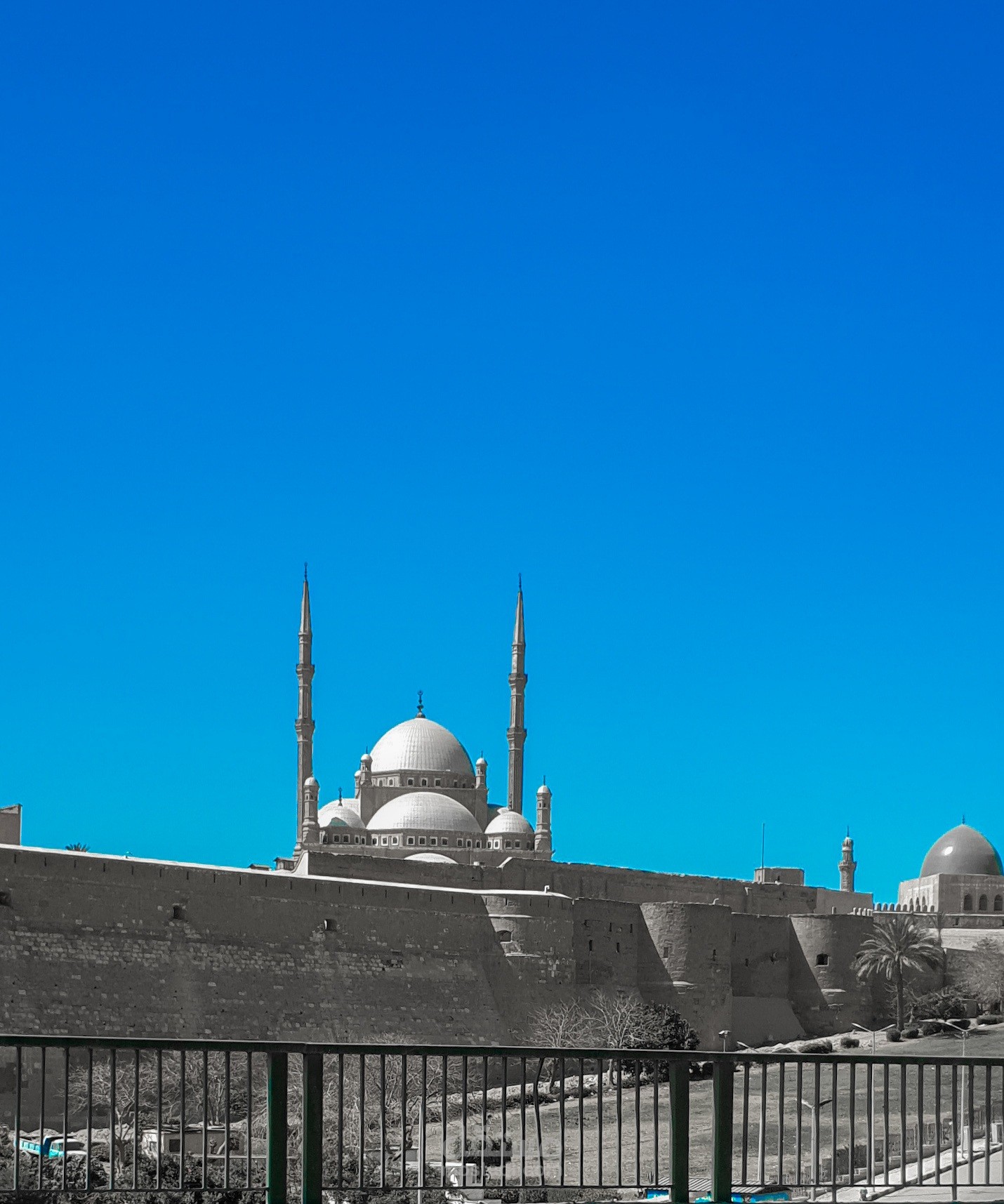 تصوير حر