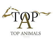 تطبيق Top Animals