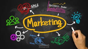 Marketing Professional
